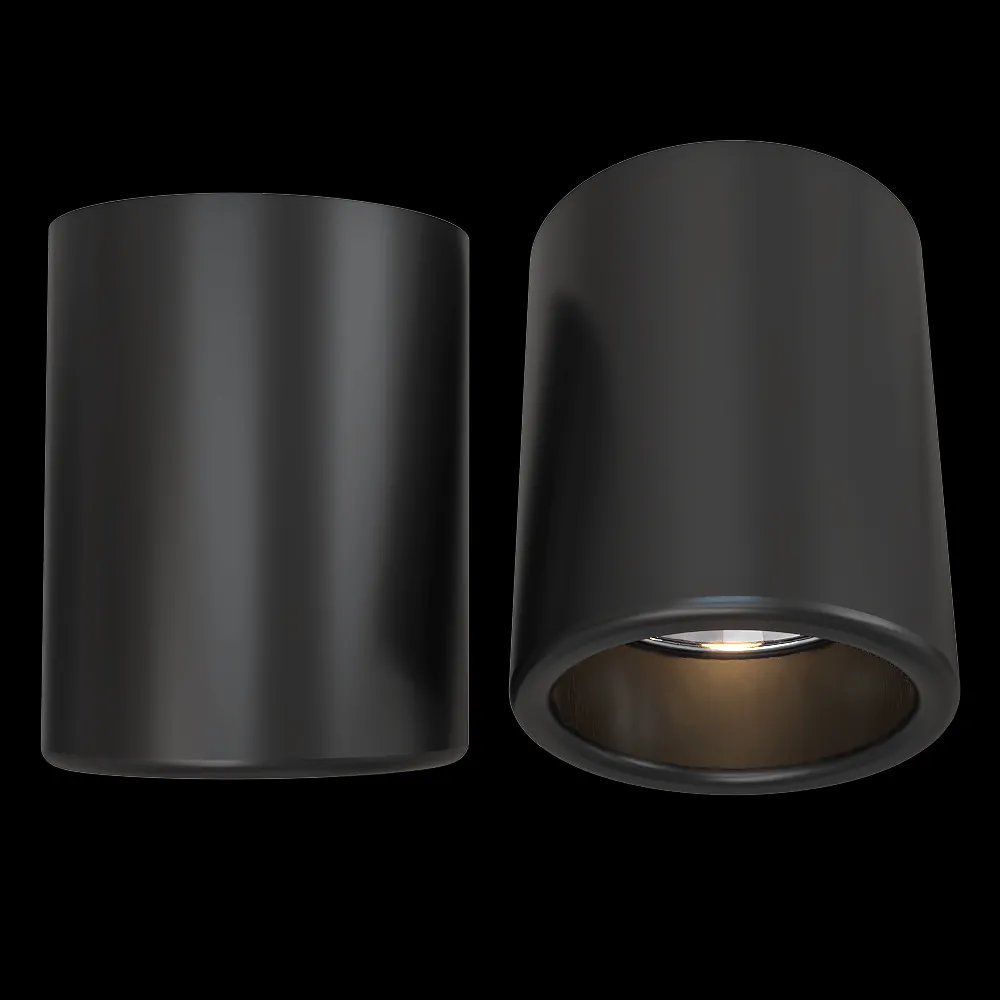 Candellux Lighting – Ceiling lamp Tuba black eyelet fixture 3ds Max
