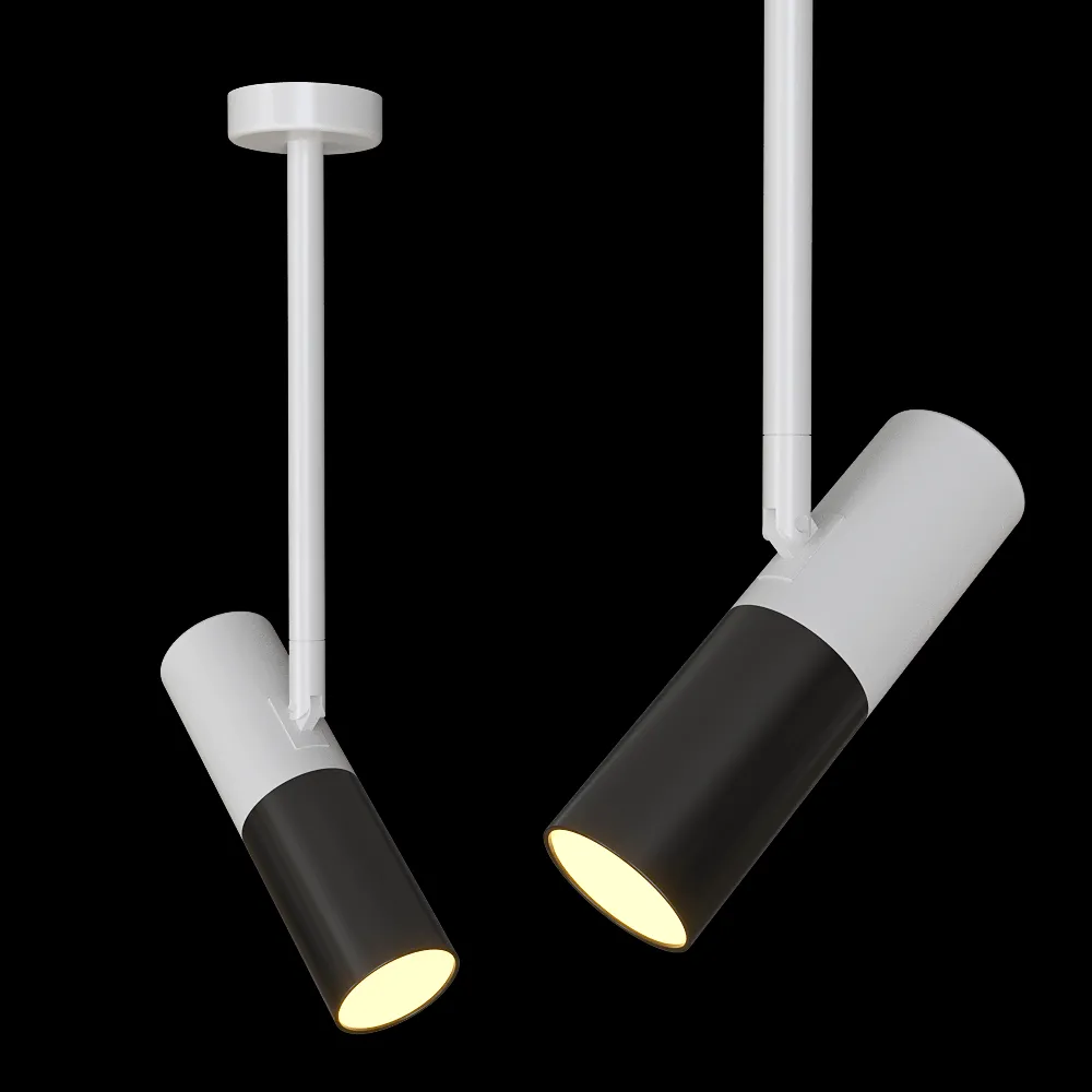 Candellux Lighting – Ceiling light Adjustable white and black tube 31-77912 3ds Max