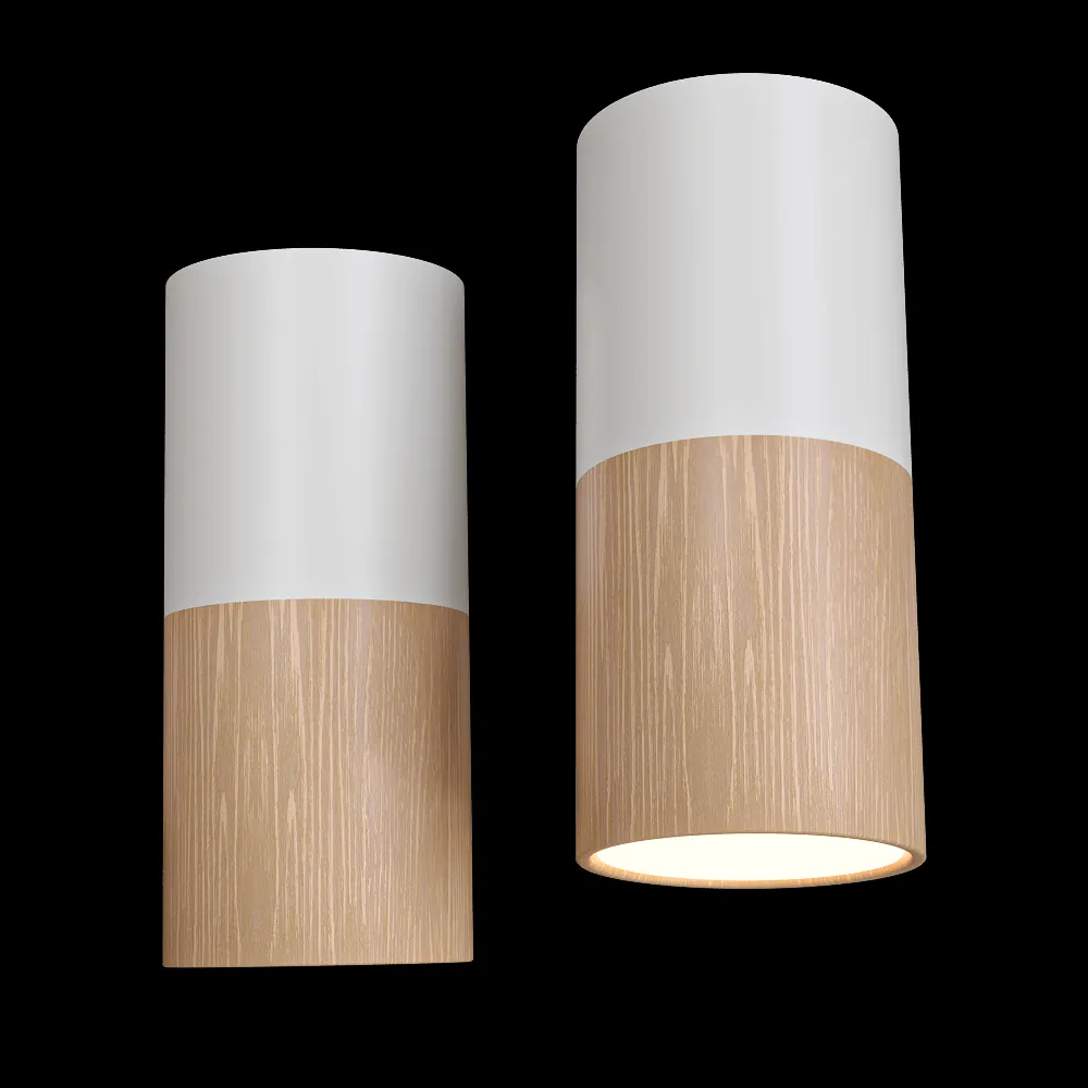 Candellux Lighting – Spot light BiałaWooden GU10 25W TUBA CANDELLUX 2273655 3ds Max