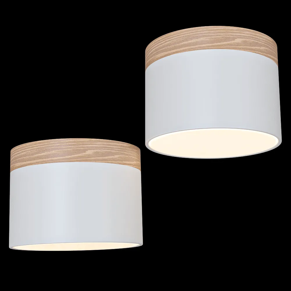 Candellux Lighting – Spot light BiałaWooden LED 9W Tuba Candellux 2273648 3ds Max