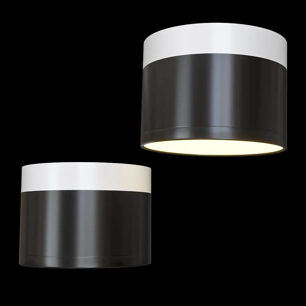 Candellux Lighting – Spot light black and white 2273716 3ds Max