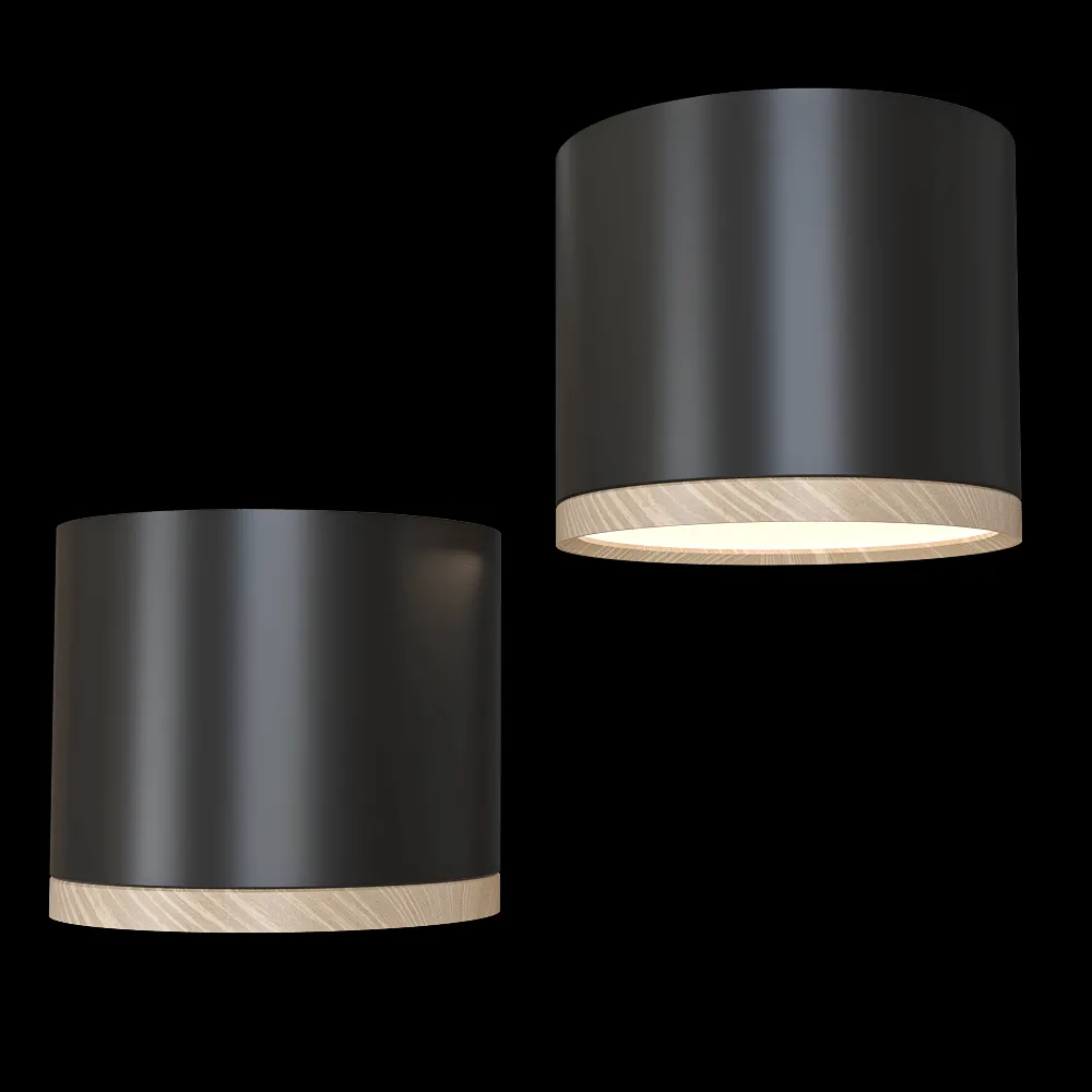 Candellux Lighting – Spot light  Black and wooden 2275949 3ds Max
