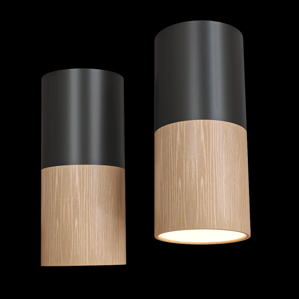 Candellux Lighting – Spot light black and wooden metal 2282862 3ds Max