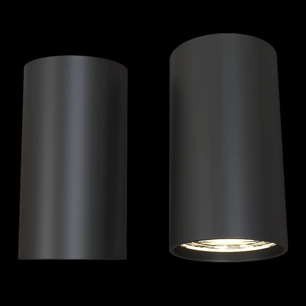 Candellux Lighting – Spot light black fixture  2284392 3ds Max
