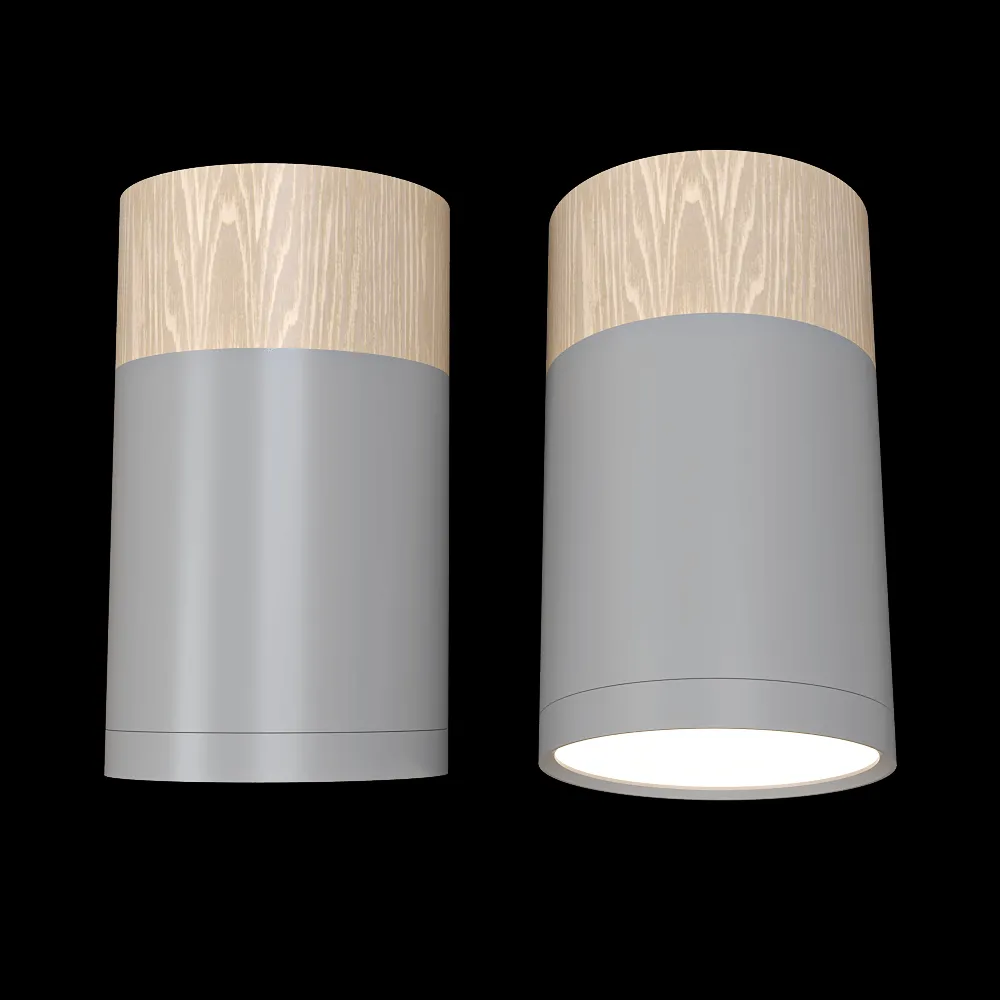 Candellux Lighting – Spot light Gray and wooden  2284279 3ds Max