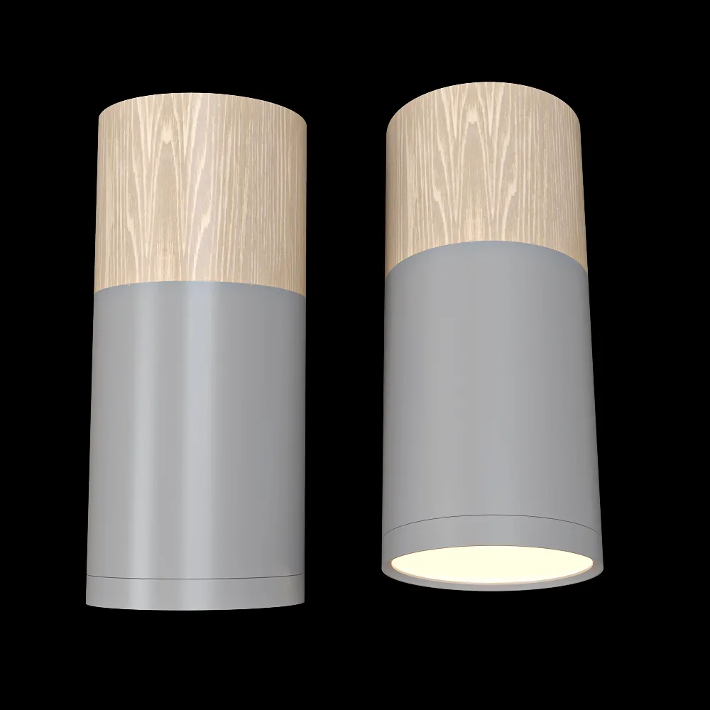 Candellux Lighting – Spot light  Gray and wooden Tuba Candellux 2284286 3ds Max