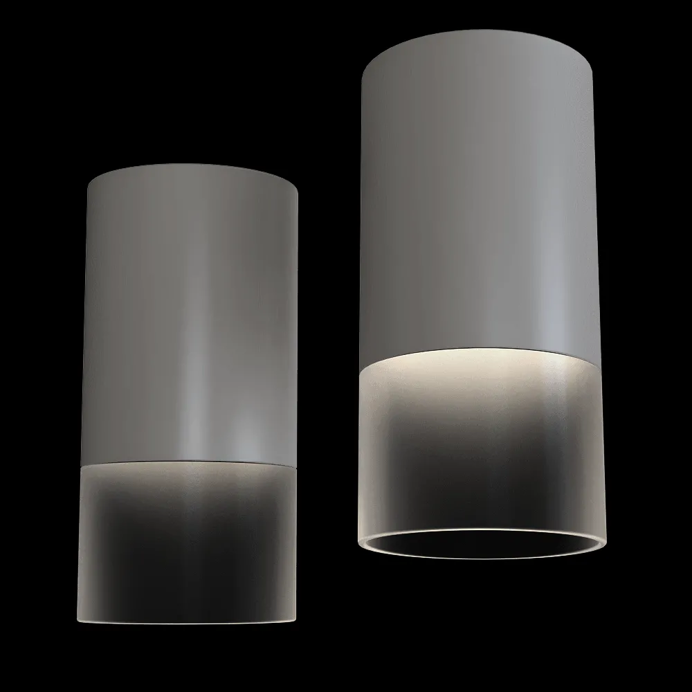 Candellux Lighting – Spot light Gray tube with frozen glass for the GU10 3ds Max