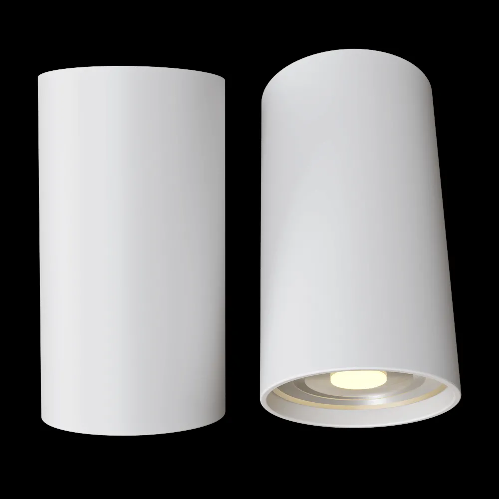 Candellux Lighting – Spot light white fixture 2284385 3ds Max