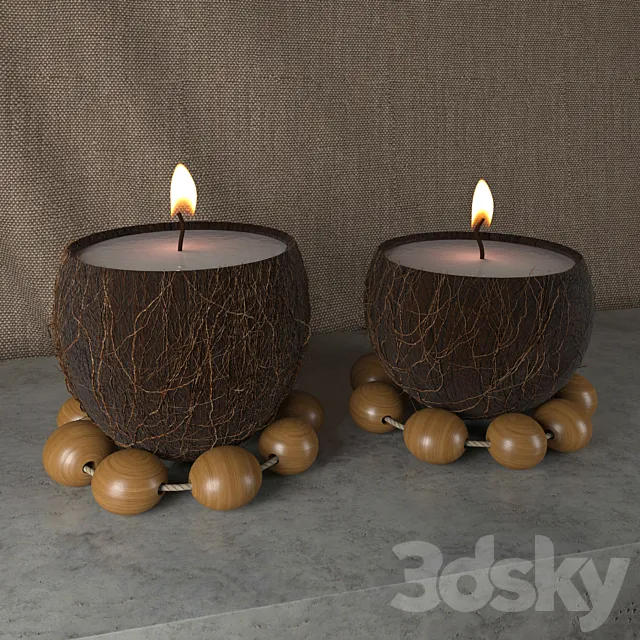 Candles coconut 3DS Max Model