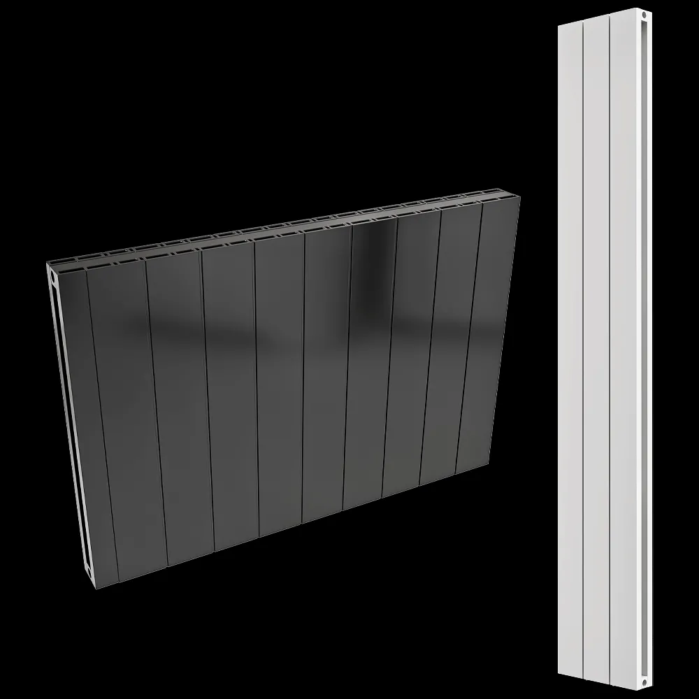 CARISA – Radiator Nemo Double 3ds Max