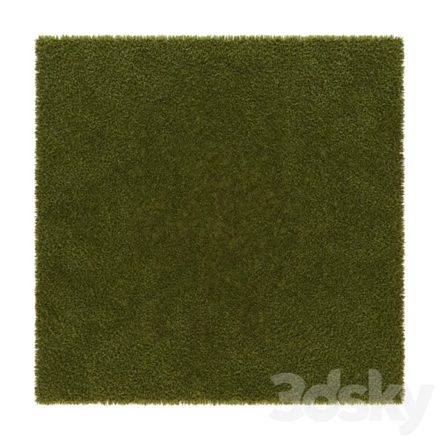 Carpet green hair 3DSMax File