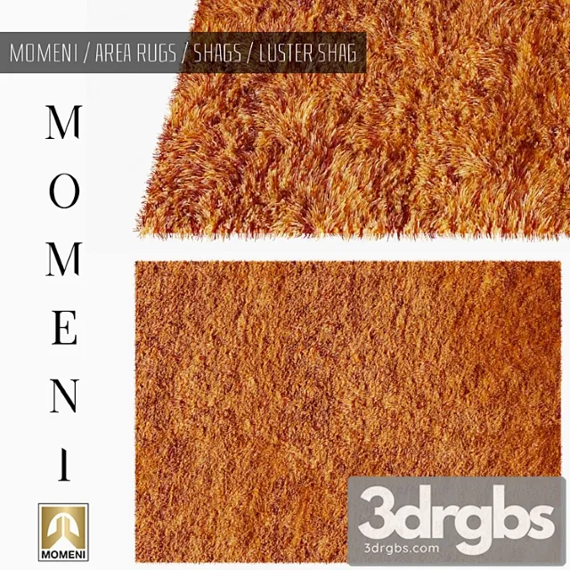 Carpet Momeni Area Rugs Shags Chandelier Shag 3 3dsmax Download