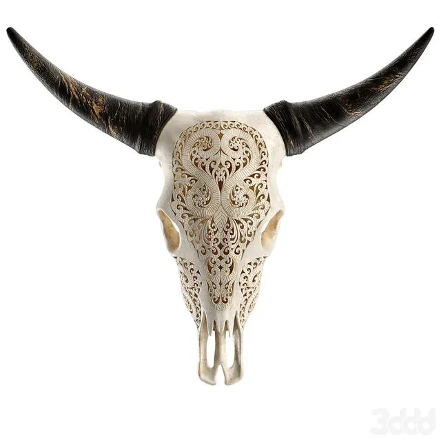 Carved cow skull (Skull of a cow with a carved pattern) 3dsMax Model