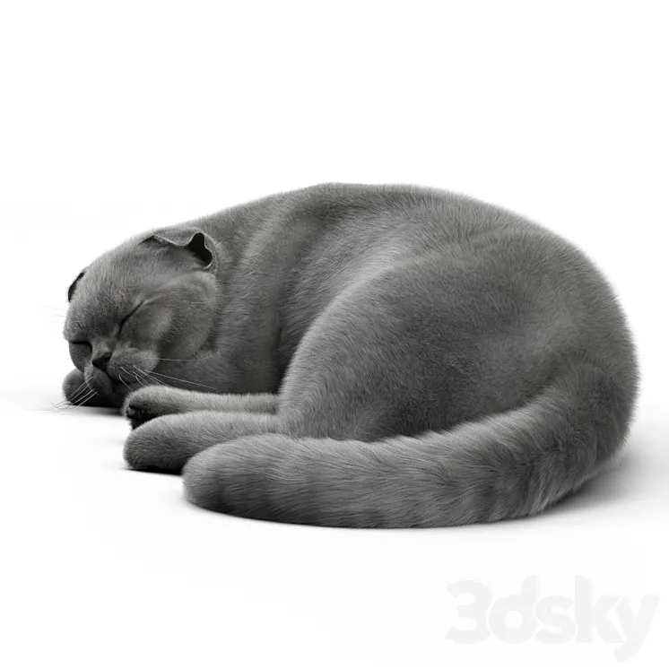 CAT 6 Corona 3DS Max Model