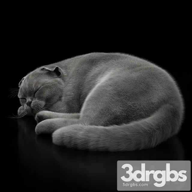 Cat 6 Vray 3dsmax Download