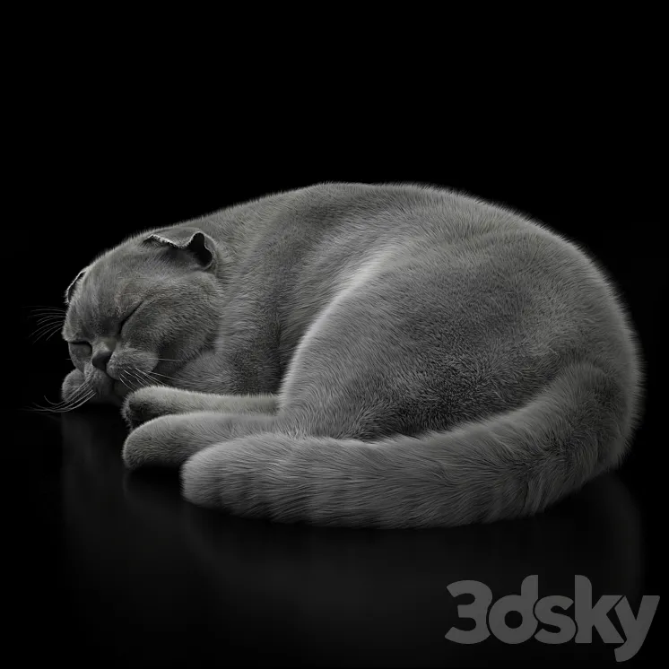 CAT 6 VRay 3DS Max