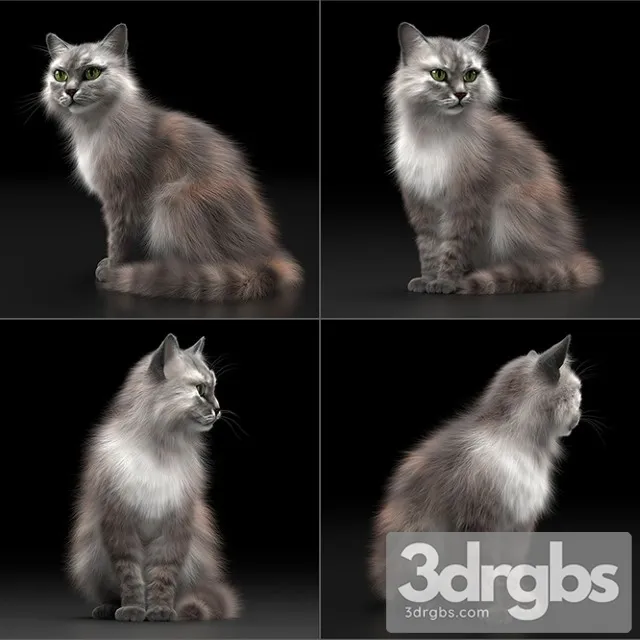 Cat Fur 3dsmax Download
