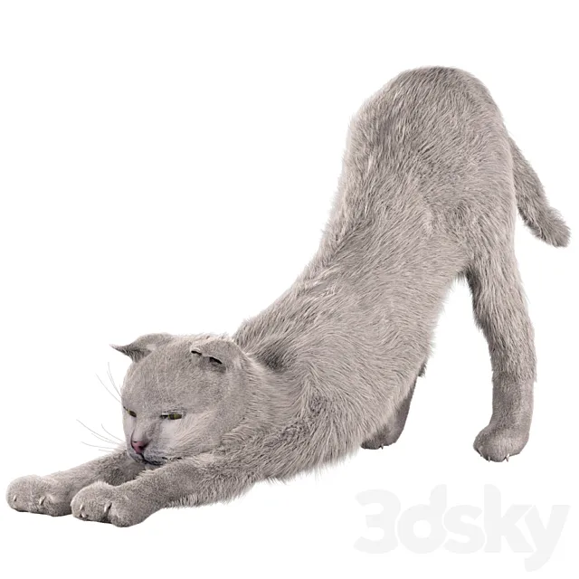 Cat Martin 3ds Max