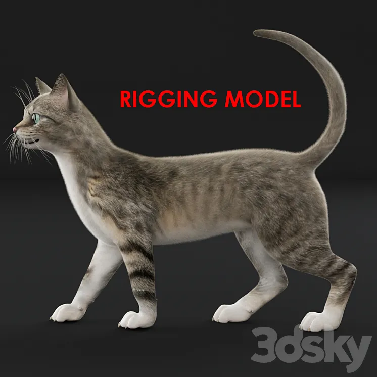 Cat (Riga) 3DS Max
