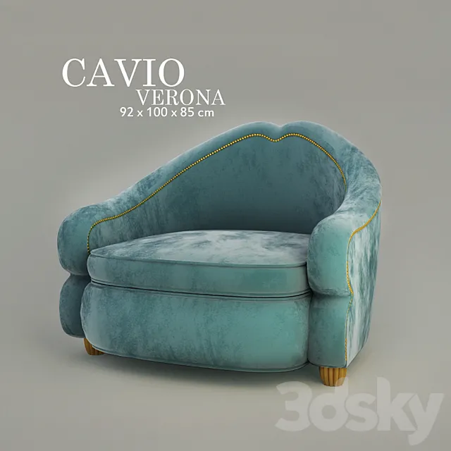 Cavio 3DS Max Model