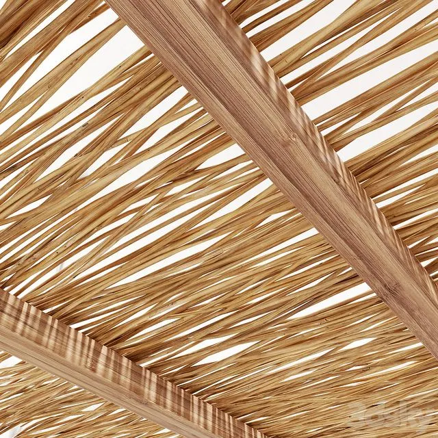 Ceiling wood thin branch beam n1 3dsMax Model