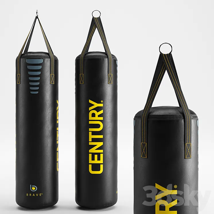 CENTURY Brave hanging Boxing bag 3DS Max