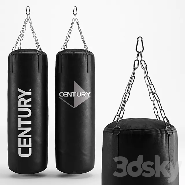 CENTURY HEAVY BAG 3DS Max Model