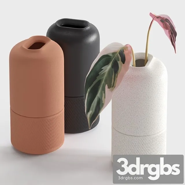 Ceramic Vases Zenn Vases by Axioma 3dsmax Download