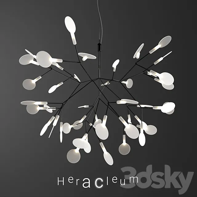 Chandelier Moooi Heracleum II Small BLACK 3ds Max