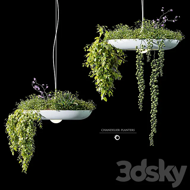 Chandelier plant pot 3DS Max Model