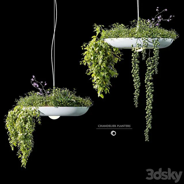 Chandelier plant pot 3dsMax Model