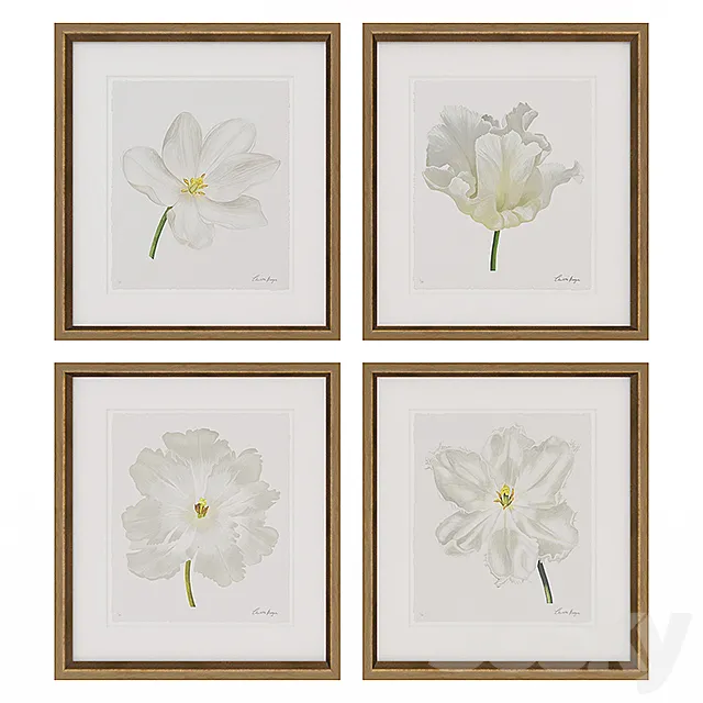 Charlotte Morgan White Watercolour Tulips 3DSMax File
