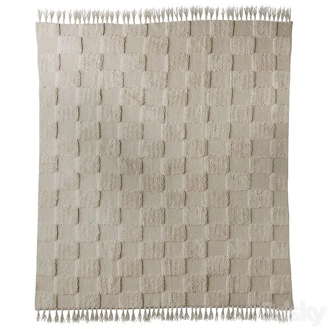 Checkerboard Hilo Tufted Rug 3dsMax Model