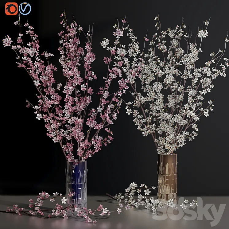 Cherry Blossom Sakura Flower Branch Vases 3DS Max Model