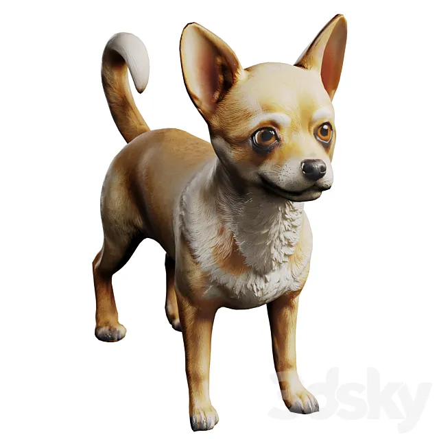 Chihuahua 3dsMax Model