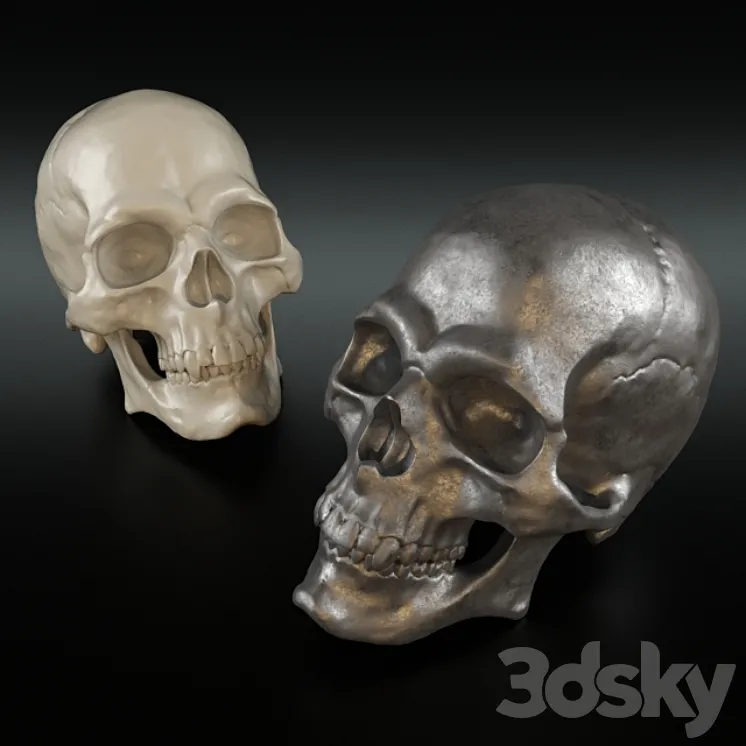Christopher Guy Decorative Skull 3DS Max