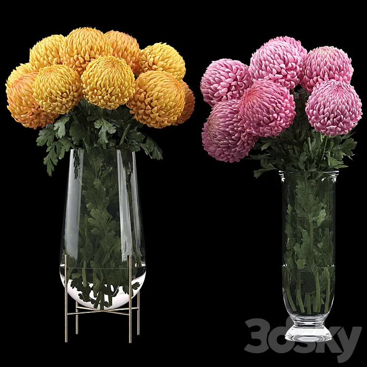 Chrysanthemum 2 3DS Max