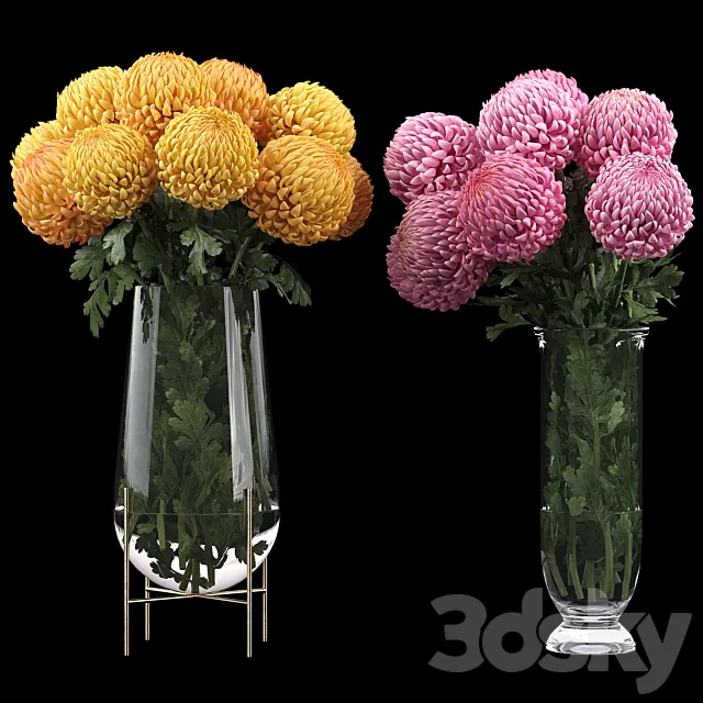 Chrysanthemum 2 3DSMax File