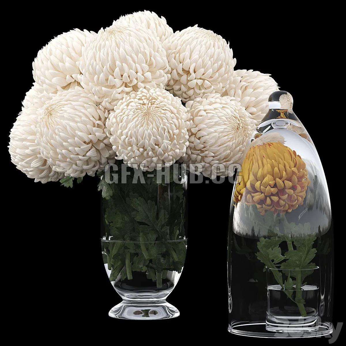 Chrysanthemums 1 3dsMax Model