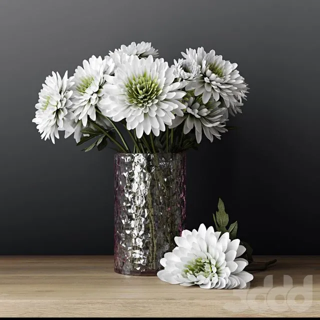 Chrysanthemums 3dsMax Model