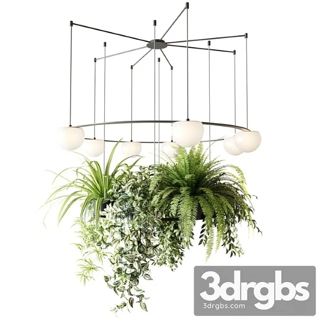 CIRC Suspension Lamps Pendants Chandelier With Ampelous Plants 3dsmax Download