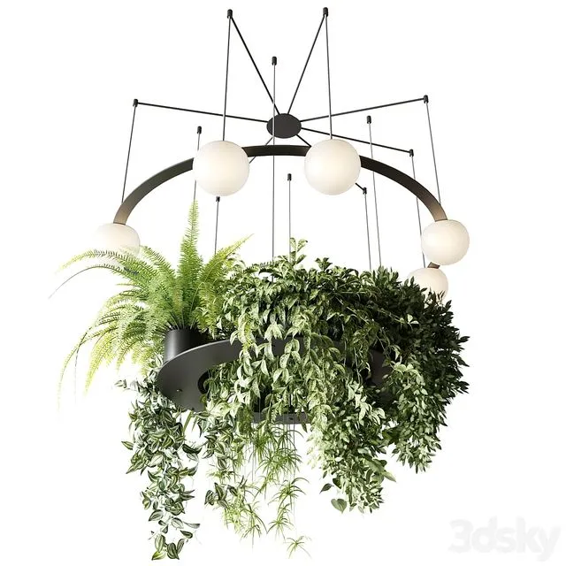 CIRC Suspension lamps Pendants chandelier with ampelous plants 3dsMax Model