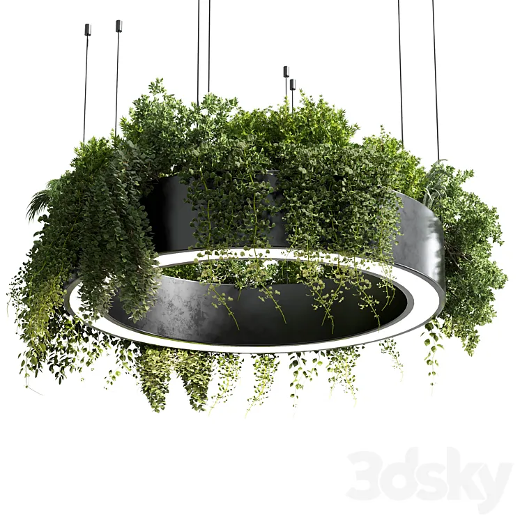 circle pot light – pendant plant light hanging 05 3DS Max Model