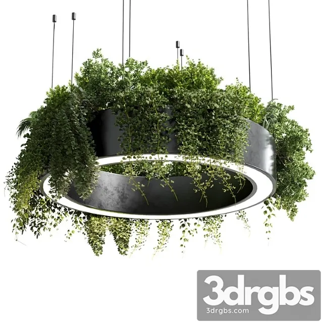 Circle pot light – pendant plant light hanging 05