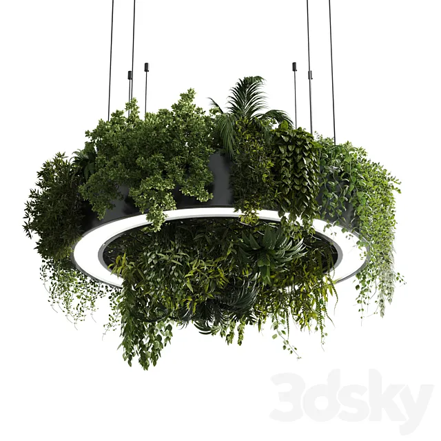 Circle pot light pendant – plant light hanging 13 corona 3ds Max