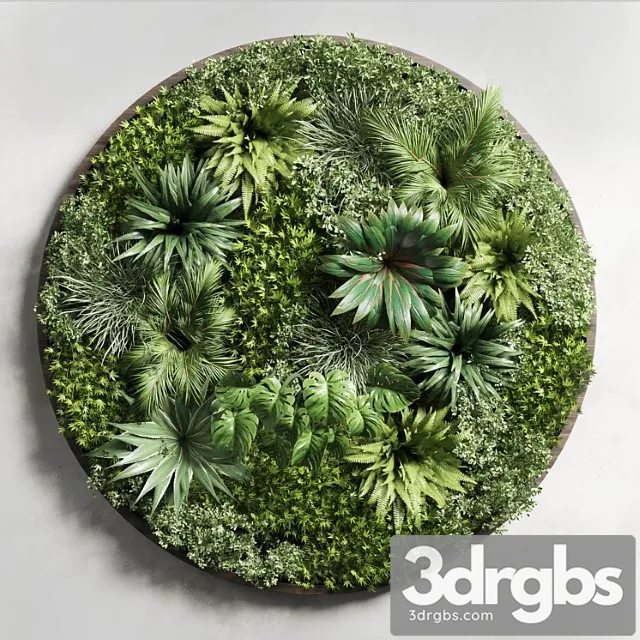 Circular fitowall – standing garden – vertical garden from indoor and outdoor plants collection 13t collections