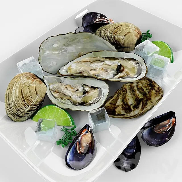 Clams to the table 3ds Max