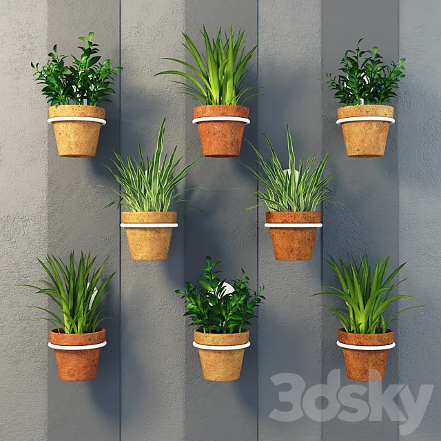 Clay pots with herbs on the wall 3DSMax File