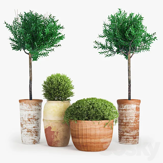 Clay_Plant_Set 3ds Max