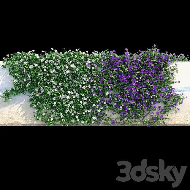 Clematis on the wall 3ds Max